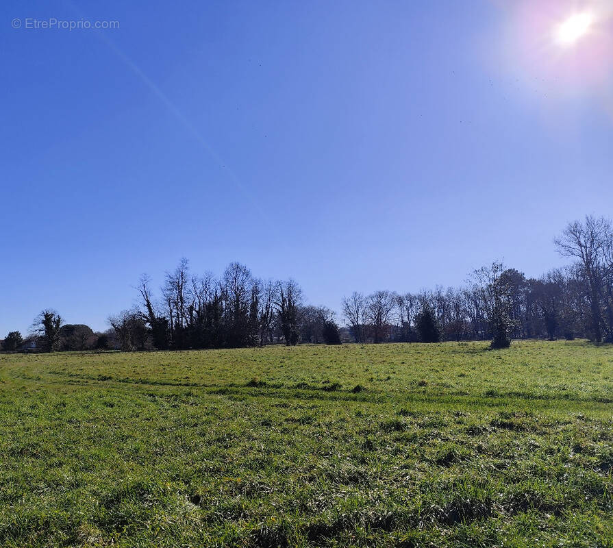 Terrain à CUSSAC-FORT-MEDOC