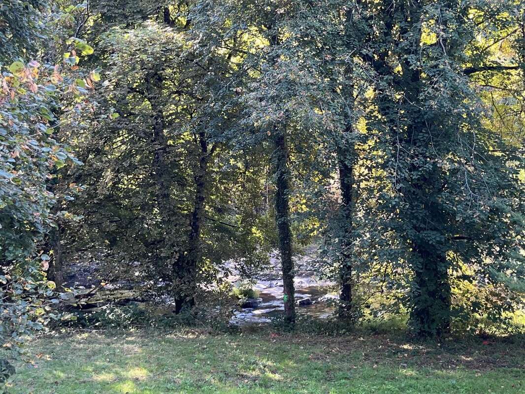 Maison à LA SALVETAT-SUR-AGOUT