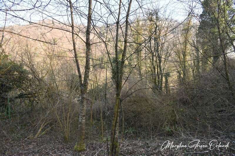 Maison à SAINT-THIBAUD-DE-COUZ