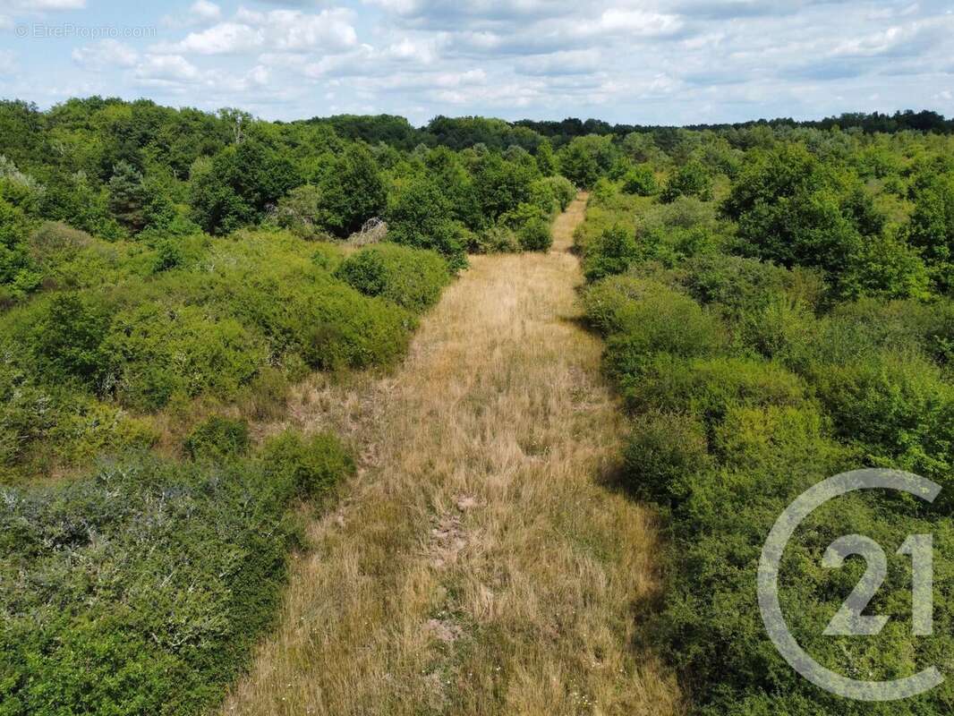 Terrain à LA FERTE-SAINT-AUBIN
