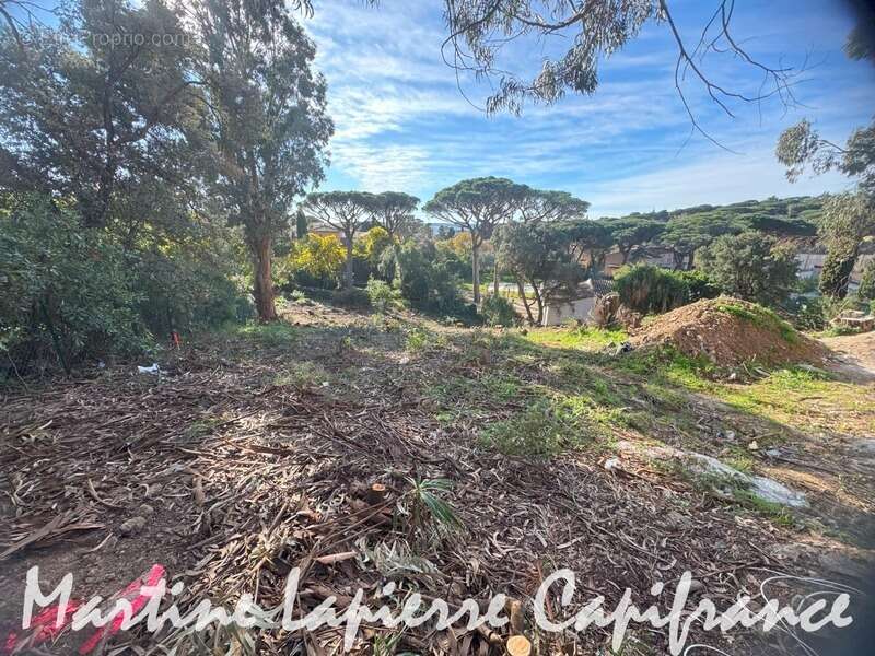 Terrain à LES ISSAMBRES