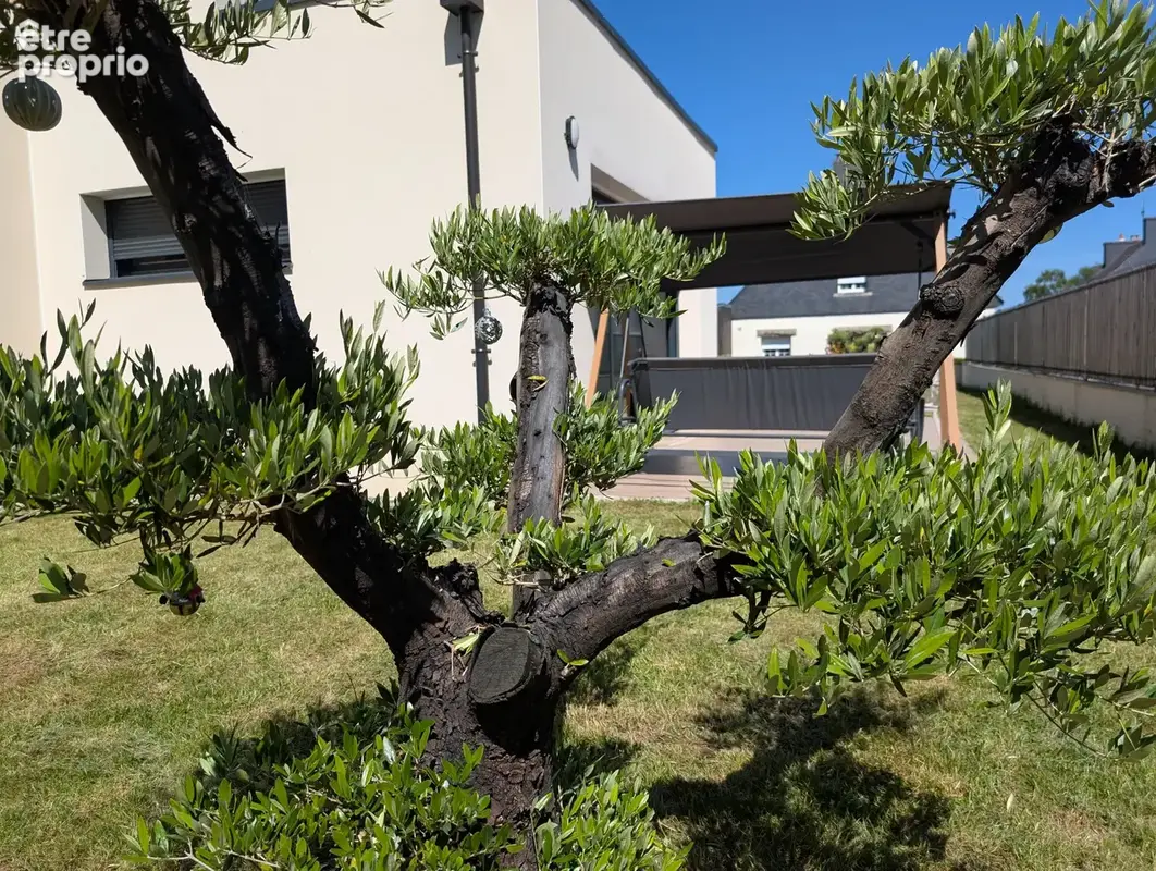Aux portes de Vannes - photo 8