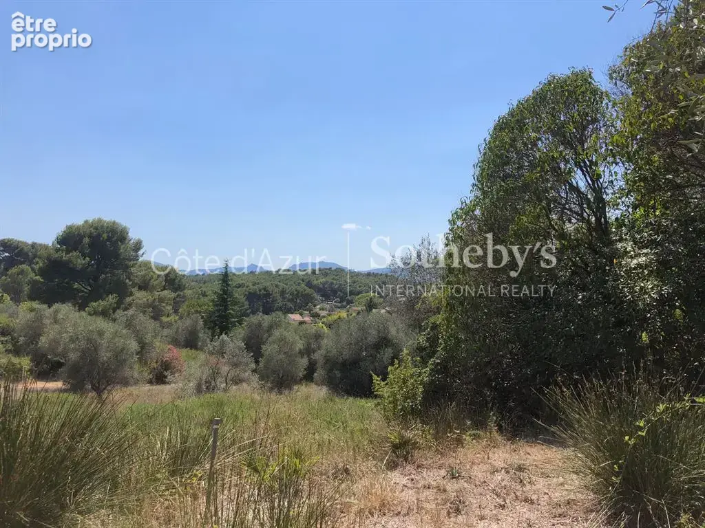 Projet de 3 villas contemporaines sur 35 233 m² - photo 10