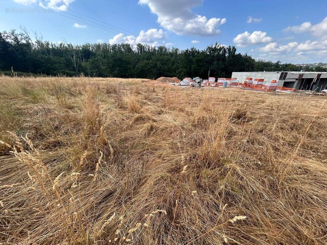 Terrain 2294 m² à Parigny  - photo 2
