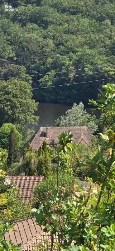 Maison à vendre 4 pièces LE PALAIS SUR VIENNE (87) - photo 18