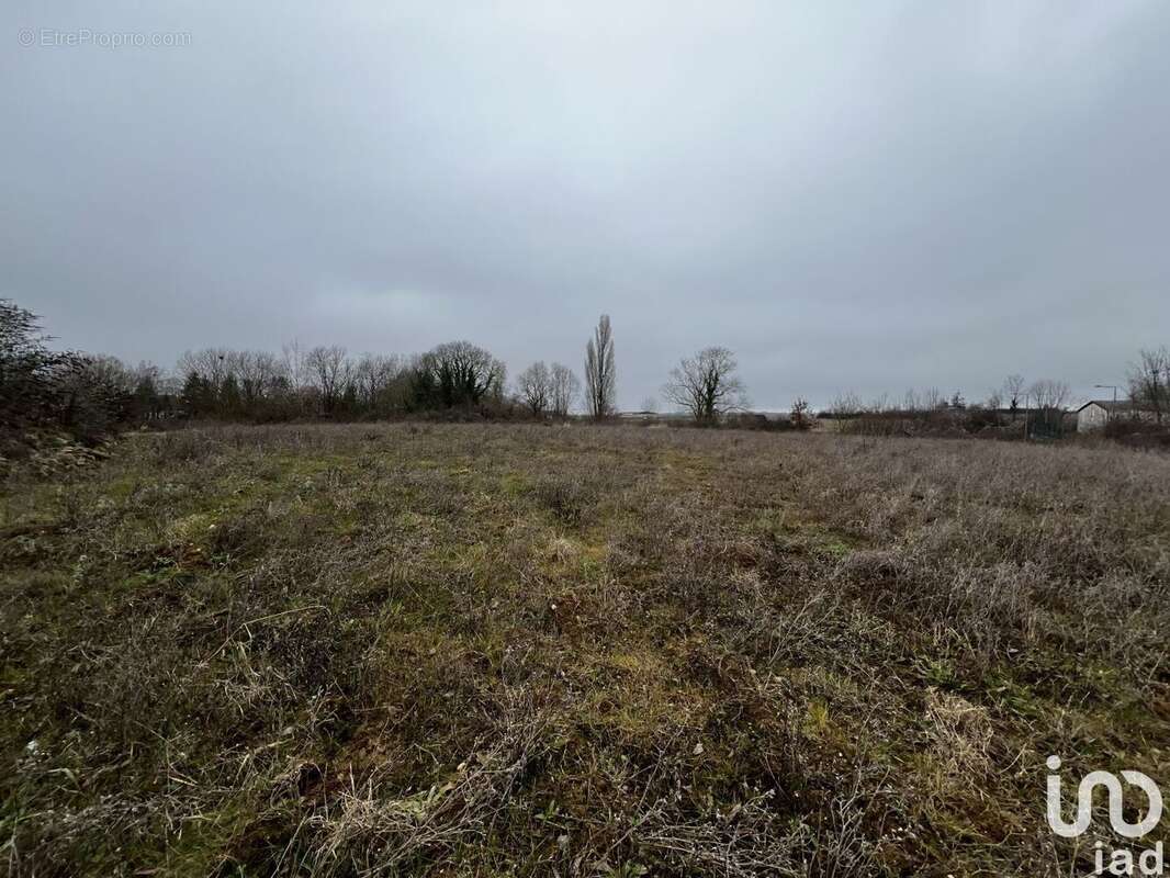 Photo 2 - Commerce à CHEVRY-COSSIGNY