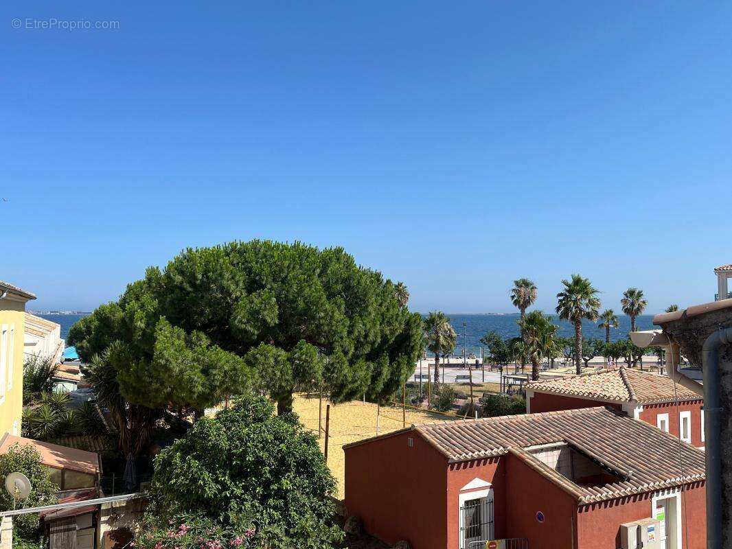 Meze, Appartement avec exceptionnel et rarissime emplacement sur le port - photo 24