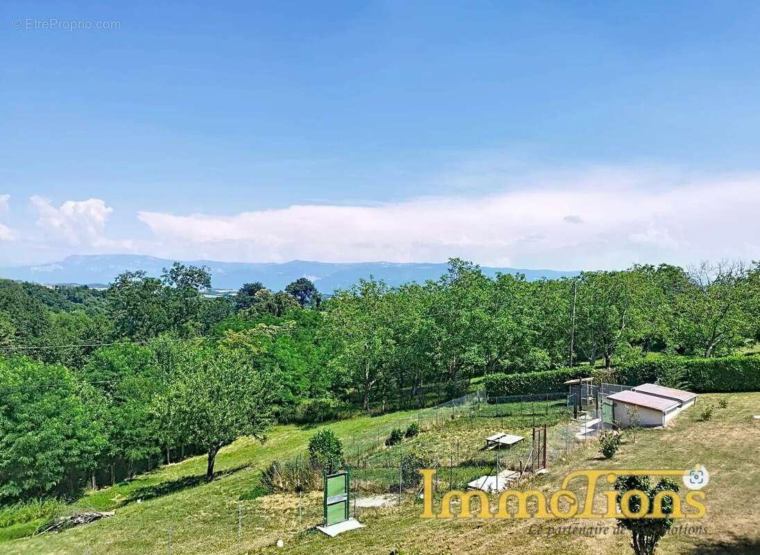 Vue dominante sur 1ha de terrain - photo 4