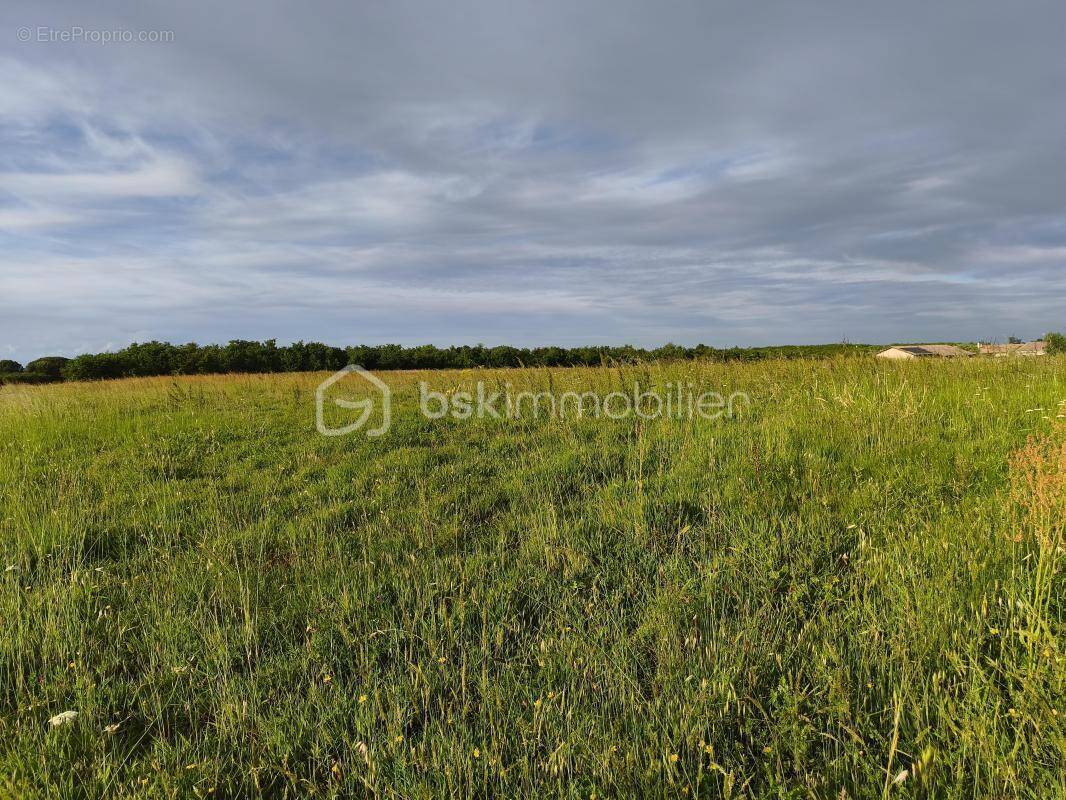 Terrain à LAVIT