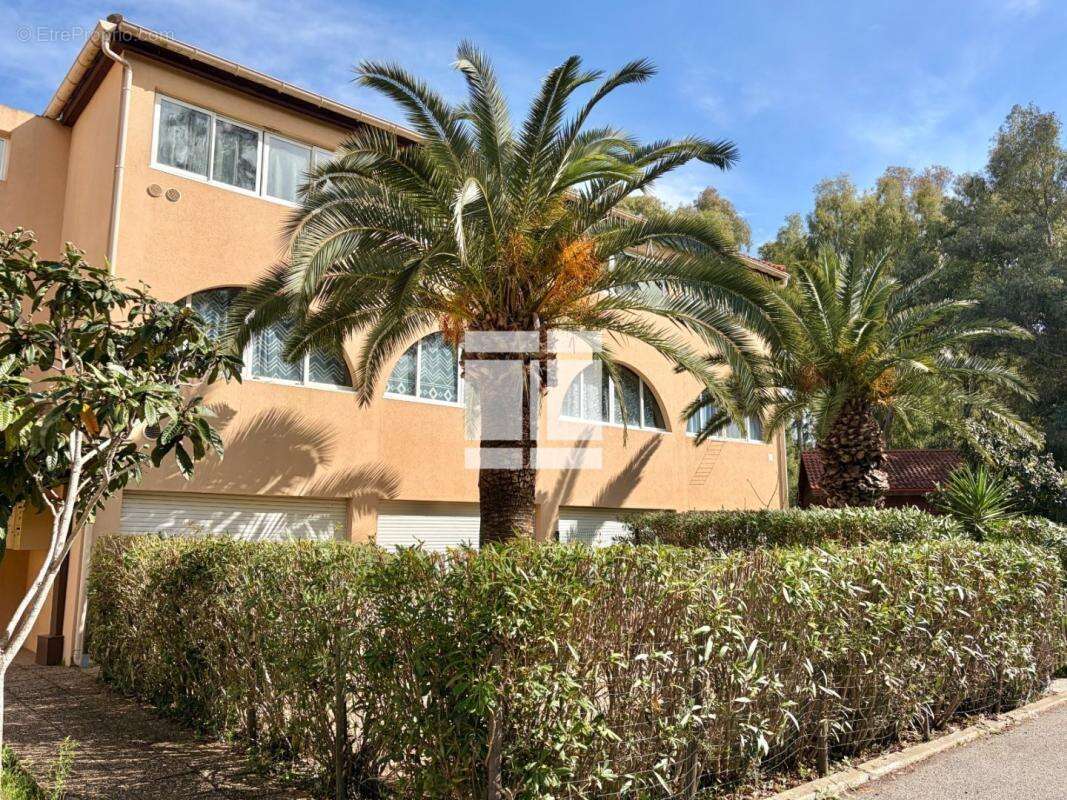 Appartement à CALVI