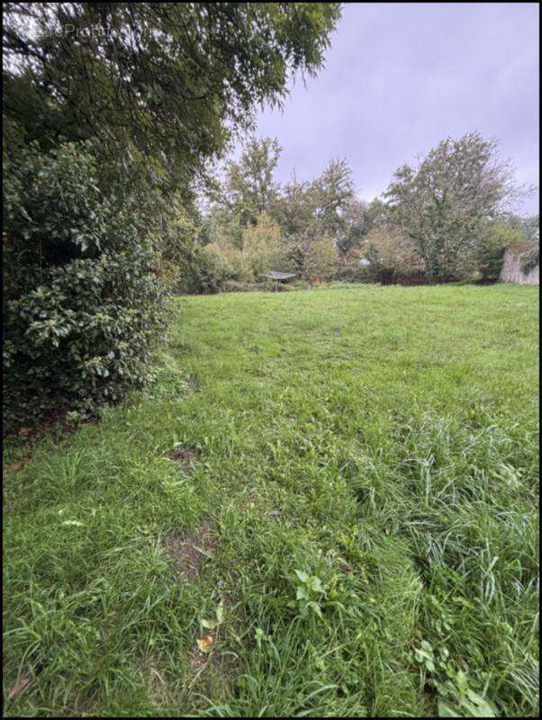 Pied à terre de 2 pièces  à CHATELUS LE MARCHEIX (23) - photo 10