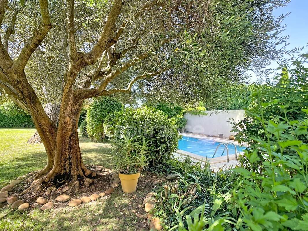 MONTÉLIMAR (26200) – Maison familiale climatisée de 162 m², 5 chambres dont une vaste pièce de 35 m², piscine et jardin clos arb - photo 6