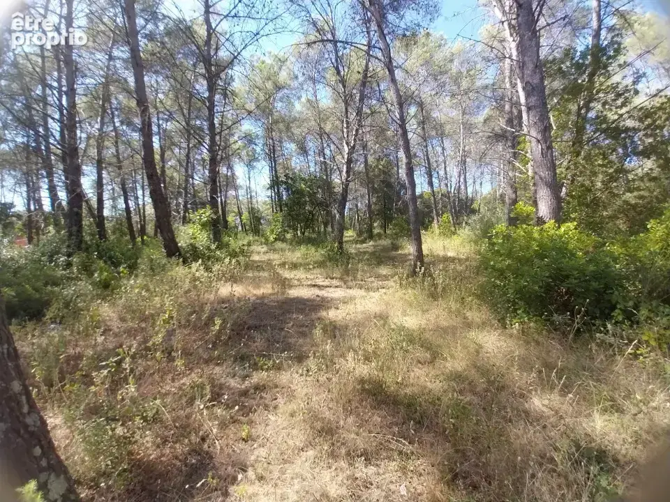 Terrain à BAGNOLS-EN-FORET