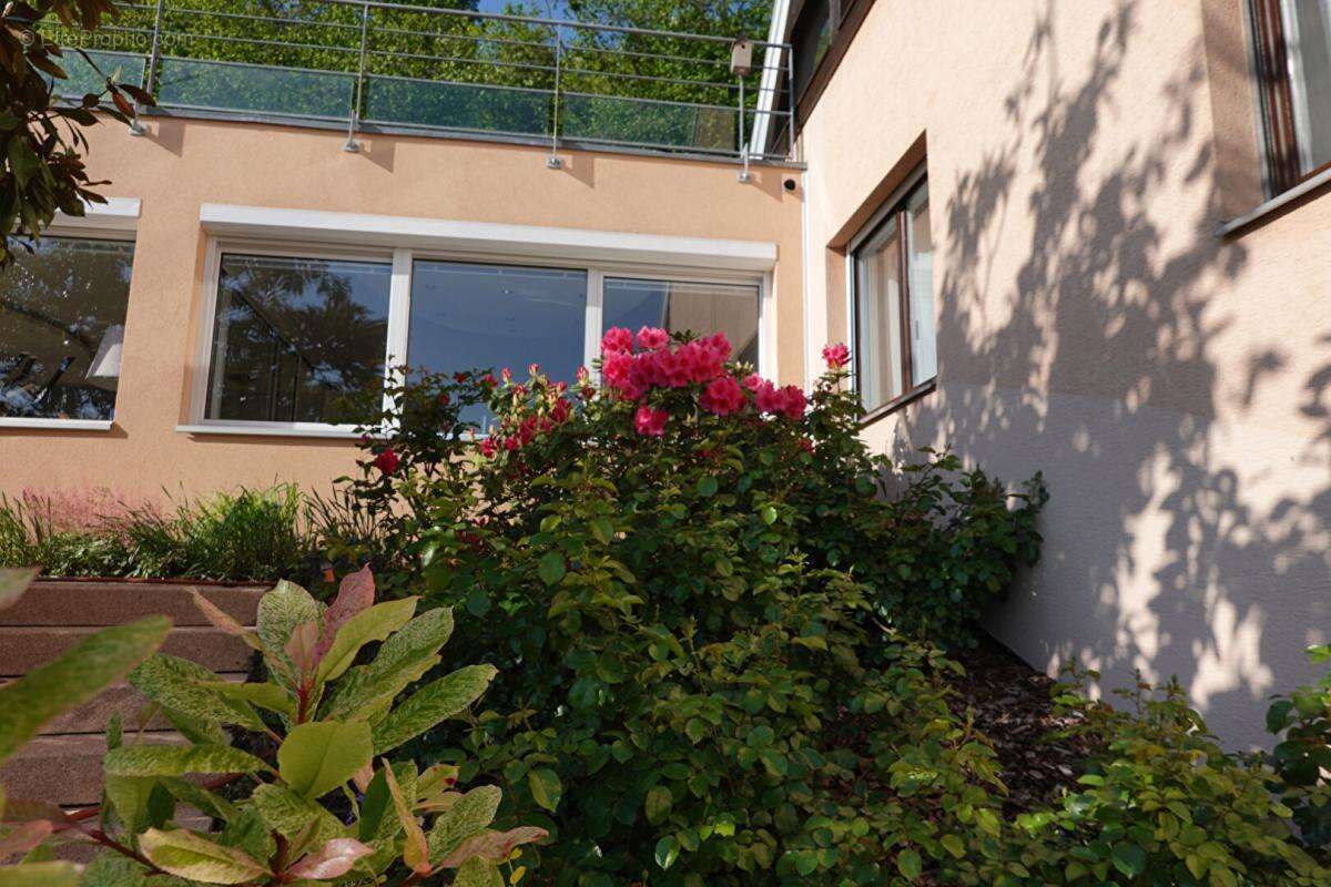 Maison Wintzenheim 10 pièce(s) 299.77 m2 - photo 10