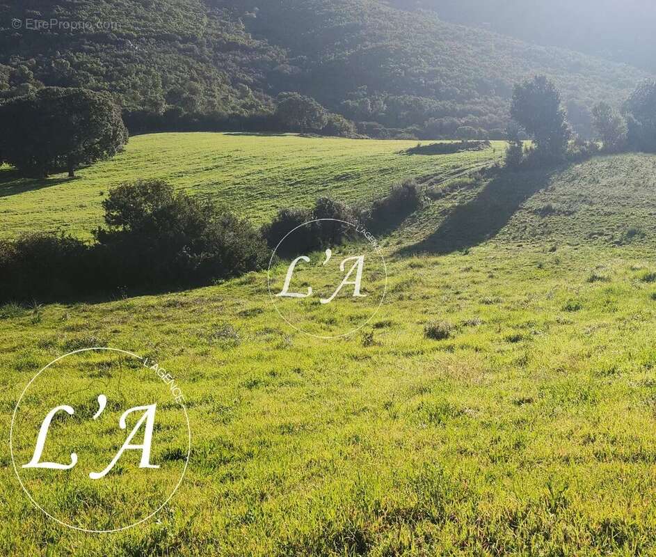 Terrain à BASTELICACCIA