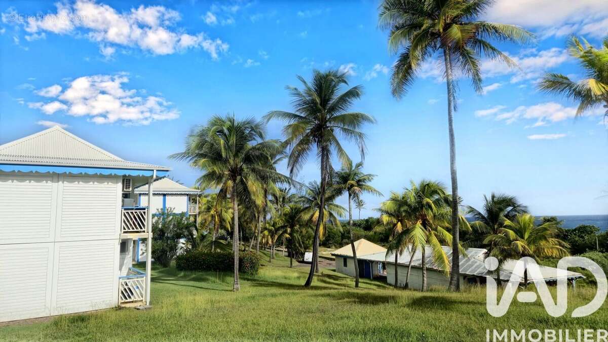 Photo 4 - Appartement à SAINT-FRANCOIS