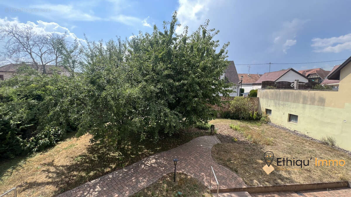 Maison 200 m² à Oberschaeffolsheim  - photo 5