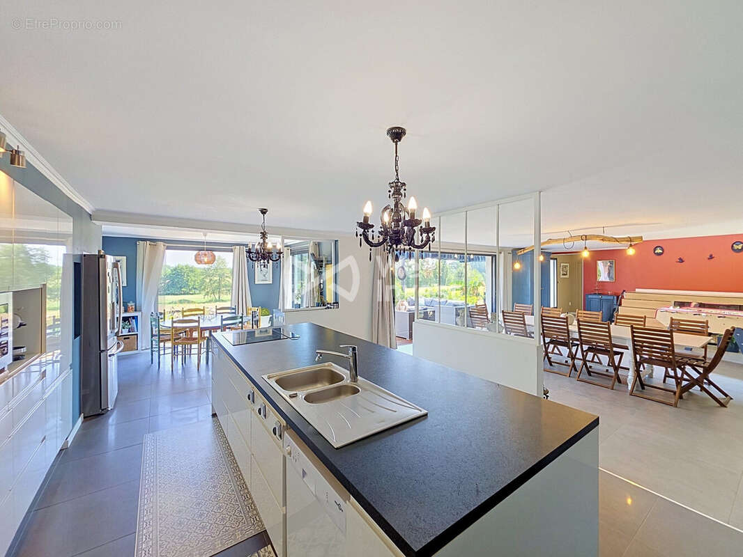 Maison 388 m² à Monce-En-Belin  - photo 9
