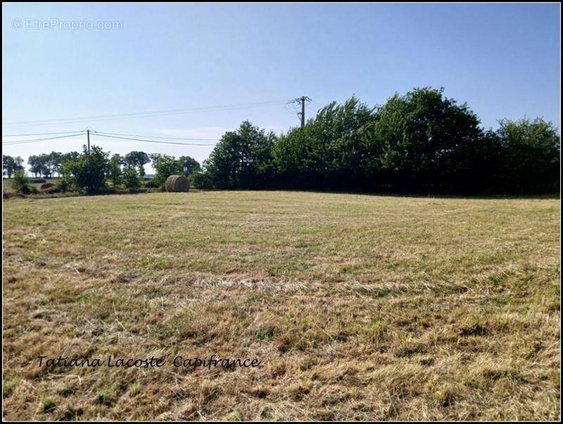 Terrain à SAINT-SULPICE-DES-LANDES