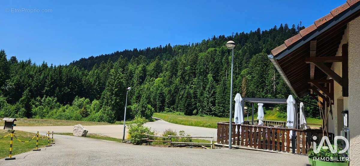 Photo 4 - Commerce à HAUTEVILLE-LOMPNES