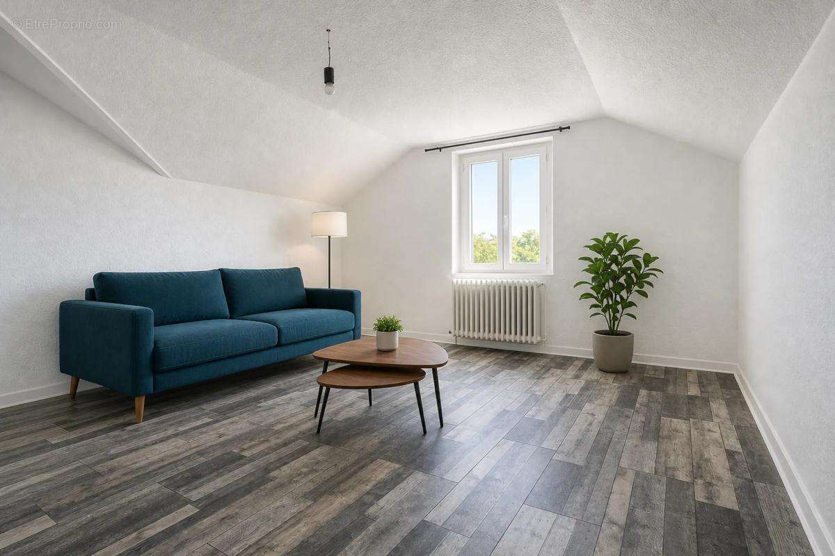 Investissement Locatif à Épinouze, 300 m² - photo 3