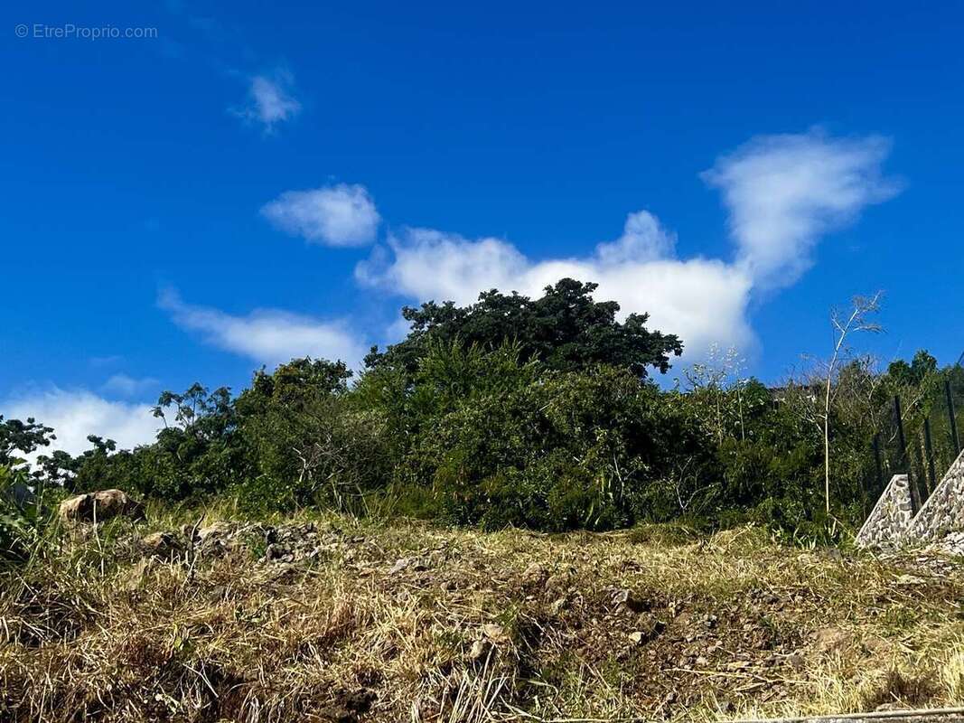 Terrain à SAINT-PAUL