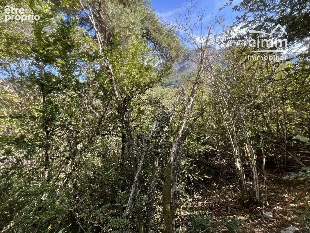 Terrain 834 m² à La Chapelle-En-Vercors  - photo 6