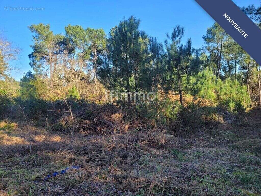 Maison à LE PIAN-MEDOC