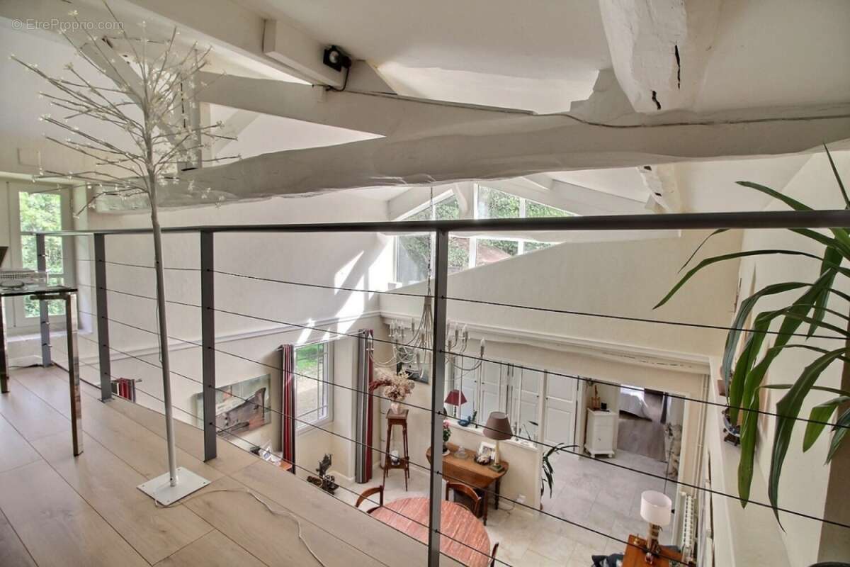 MEZZANINE.jpg