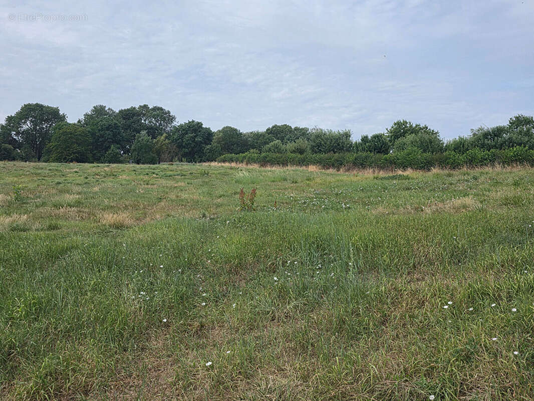 Terrain Froissy 5000 m2 - photo 2