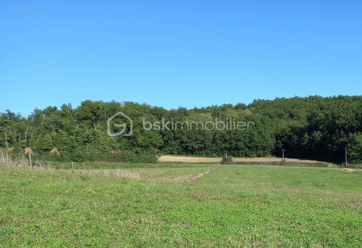 Terrain à NEGREPELISSE