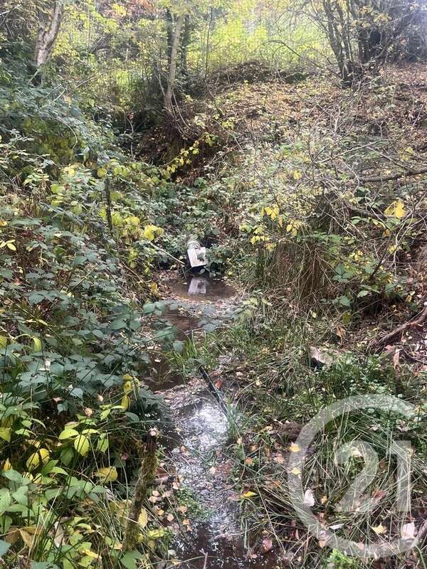 Terrain à BURDIGNES