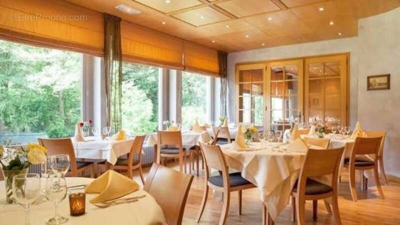 Fonds de commerce avec murq, à vendre proche de OBERNAI (67): Restaurant / Hôtel / Chalet locatif / Logement Fonction - Réserve  - photo 4