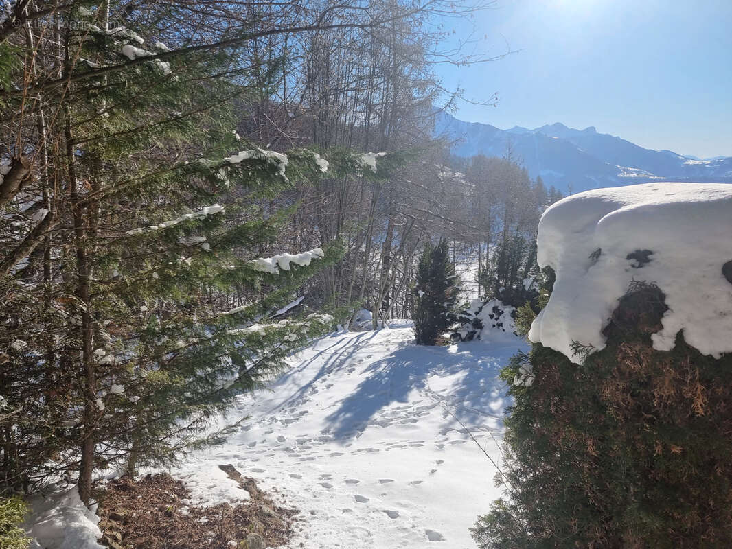Studio pied des pistes - photo 10