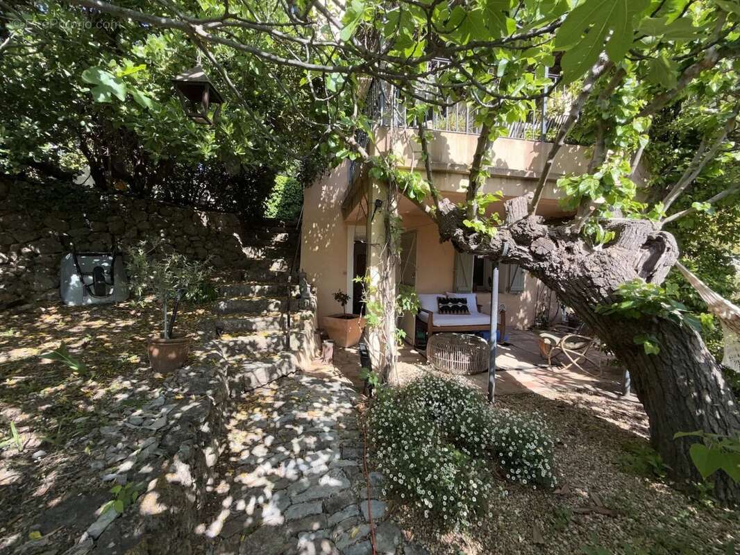 Maison à MONTFORT-SUR-ARGENS