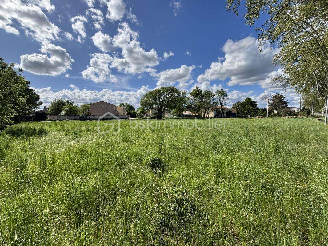 Terrain à RIBAUTE-LES-TAVERNES