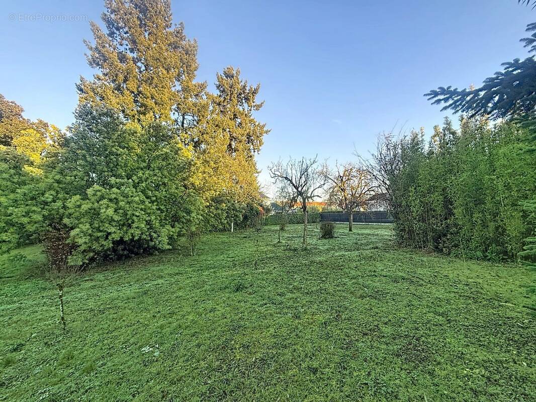 Terrain à SAINT-AVERTIN