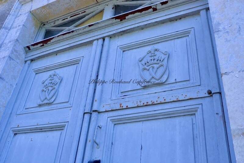Château du XVIIᵉ siècle à vendre, 17 pièces, FOUSSAIS PAYRE (85) - photo 2