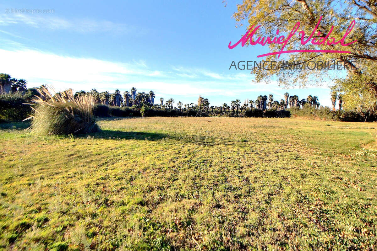 Maison à SAINT-CYPRIEN