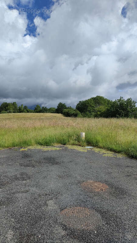 Terrain à SAINT-SOLVE