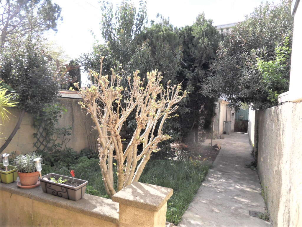 Maison à AVIGNON