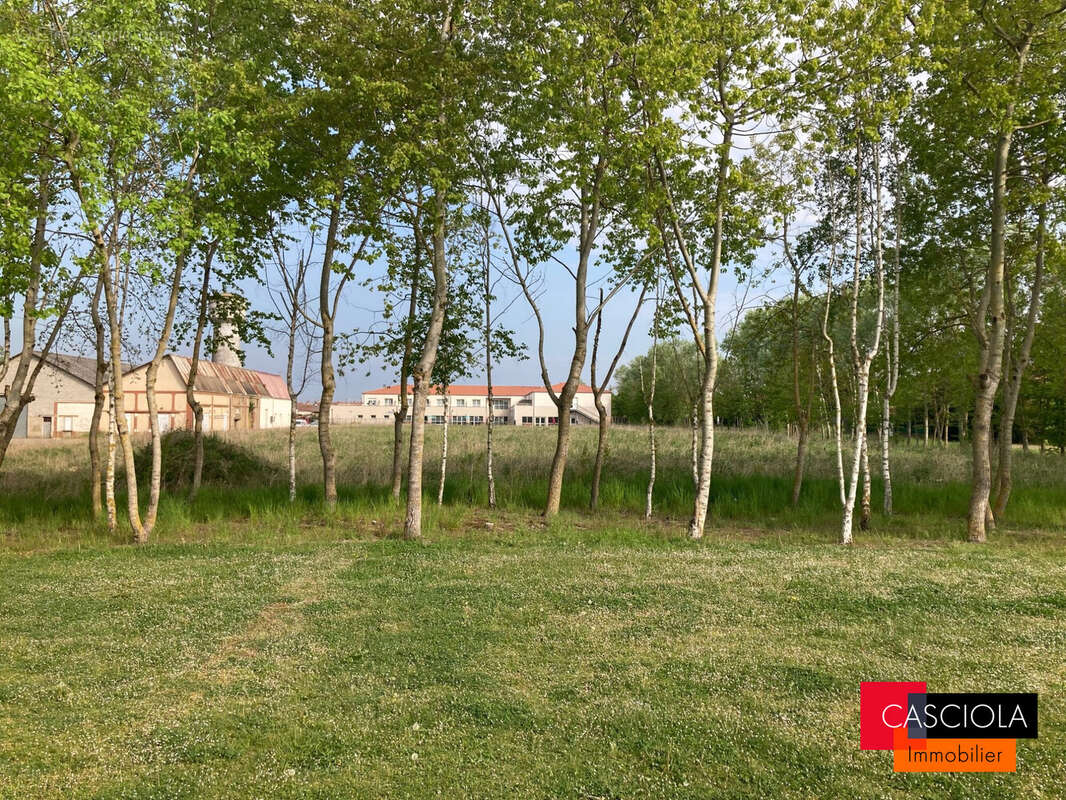 Terrain 6031 m² à Giraumont  - photo 4