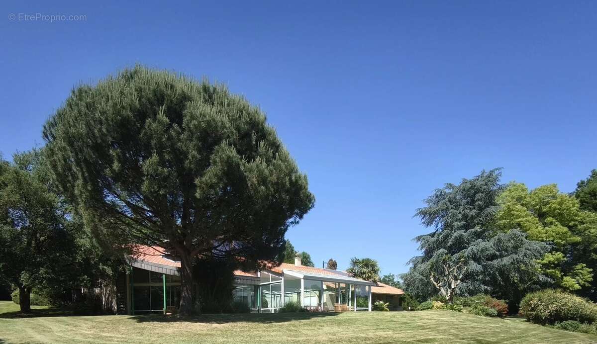 Maison d’Architecte avec Piscine Intérieure et Parc Privé de 6 Hectares - photo 19