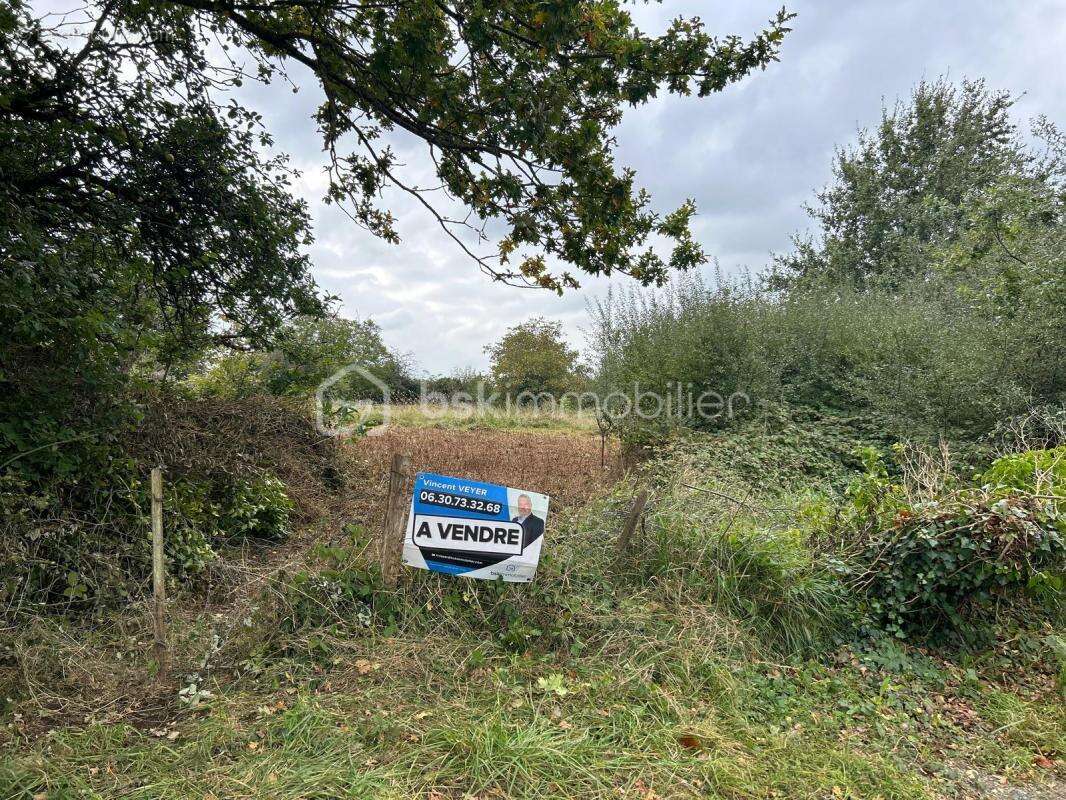 Terrain à BRAINS-SUR-GEE