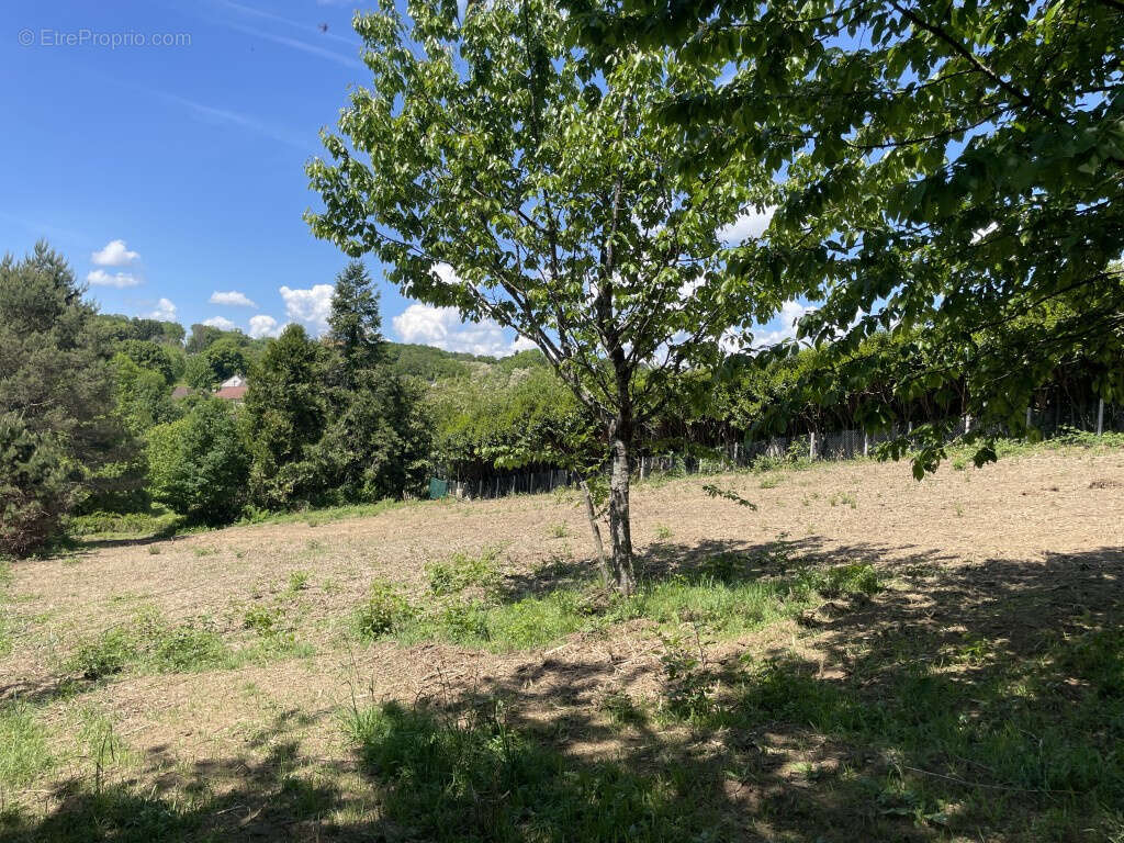 Terrain à SAINT-SORNIN-LAVOLPS