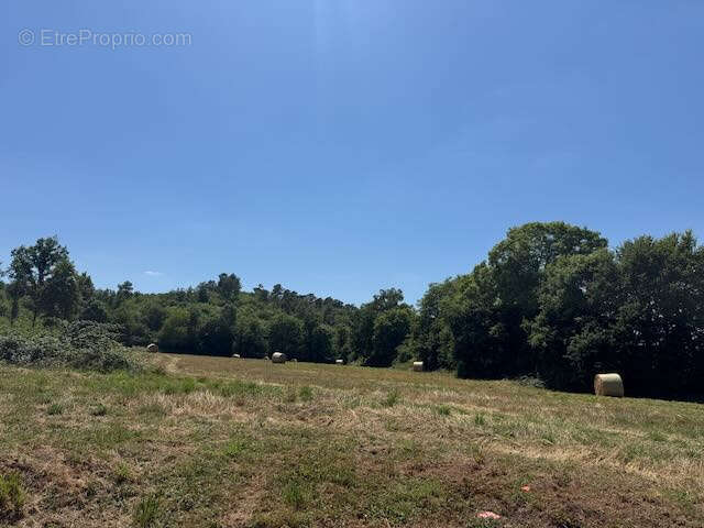 Commerce à SAINTE-HERMINE