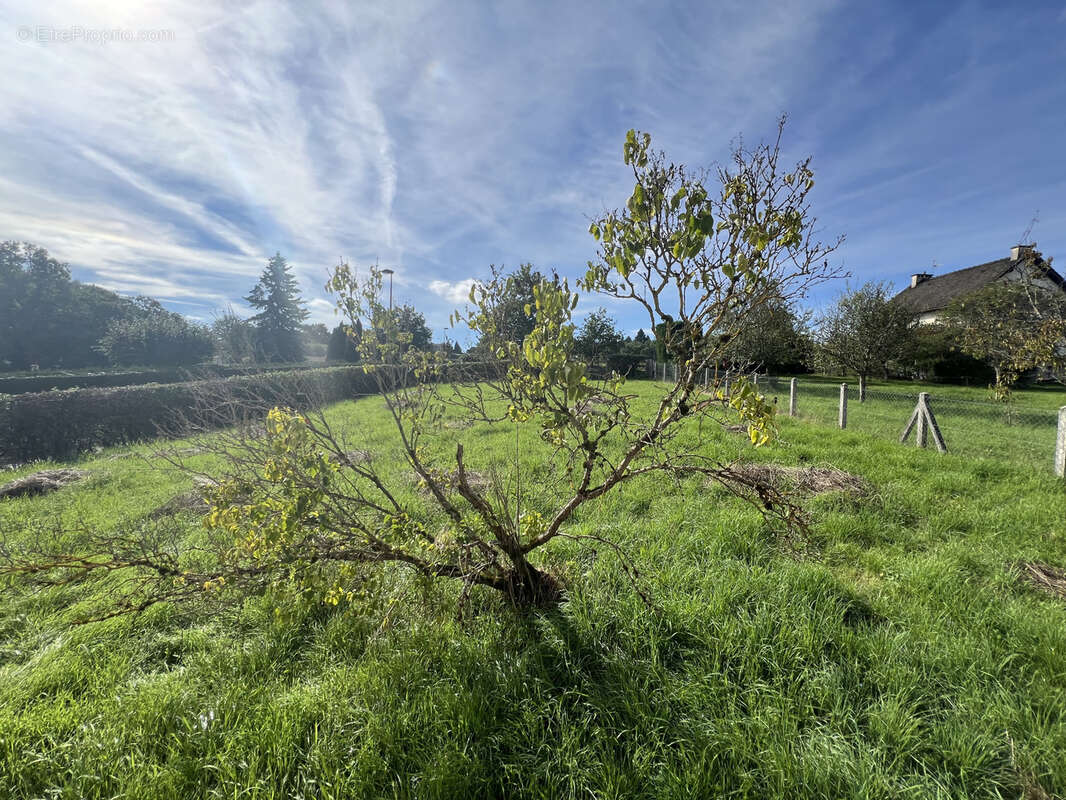 Maison à LACAPELLE-VIESCAMP