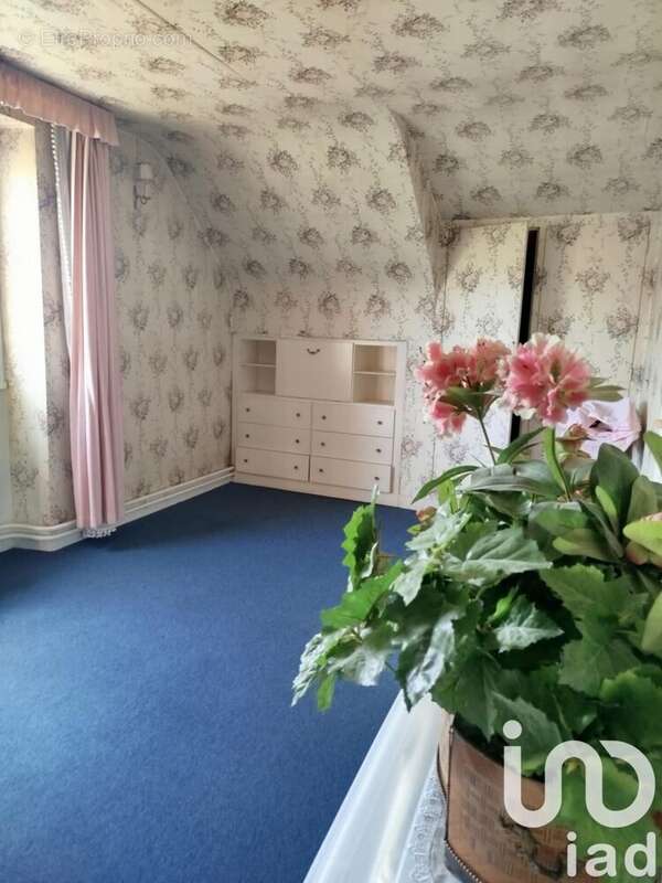 Photo 8 - Maison à MEHUN-SUR-YEVRE