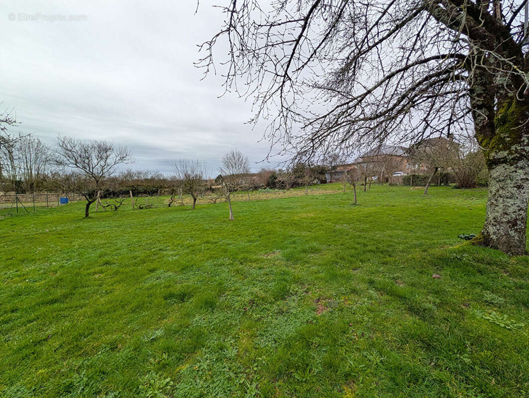 Terrain à LA MOTHE-SAINT-HERAY