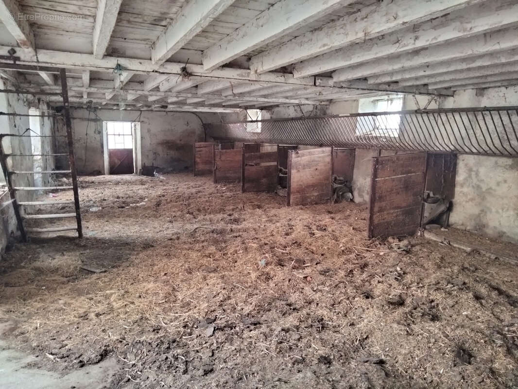 Maison à PANISSIERES